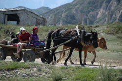 Великий Шелковый Путь